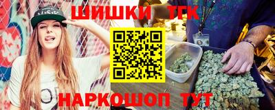 крисы Нальчик