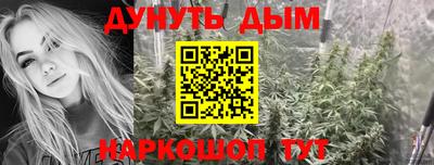 крисы Нальчик