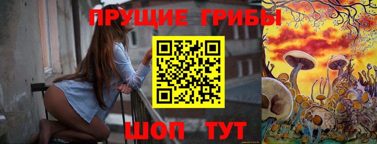 Галлюциногенные грибы Magic Shrooms  сколько стоит  Братск  Вход с VPN 
